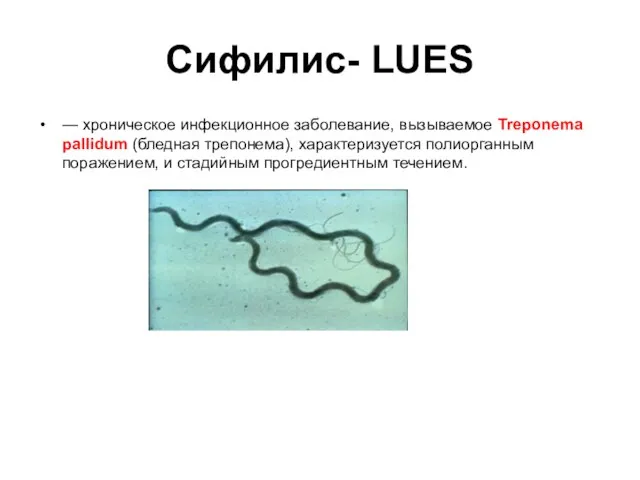 Сифилис- LUES — хроническое инфекционное заболевание, вызываемое Treponema pallidum (бледная трепонема), характеризуется