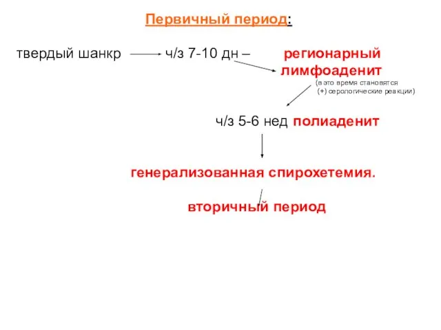 Первичный период: твердый шанкр ч/з 7-10 дн – регионарный лимфоаденит (в это