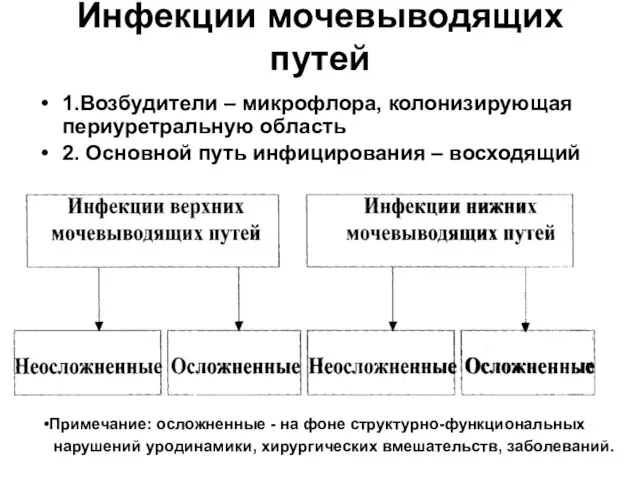 Инфекции мочевыводящих путей 1.Возбудители – микрофлора, колонизирующая периуретральную область 2. Основной путь