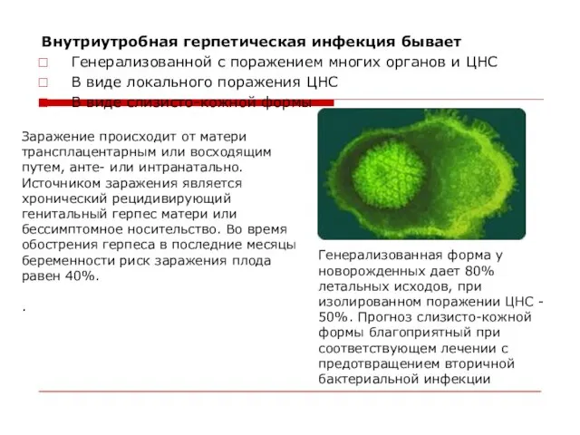 Внутриутробная герпетическая инфекция бывает Генерализованной с поражением многих органов и ЦНС В