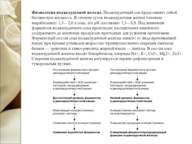 Физиология поджелудочной железы. Поджелудочный сок представляет собой бесцветную жидкость. В течение суток