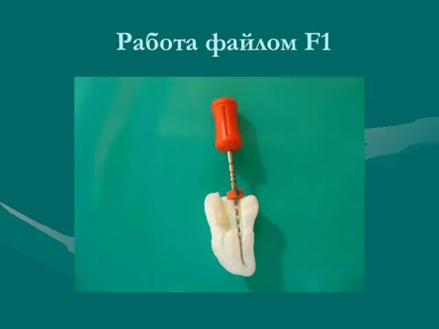 Работа файлом F1