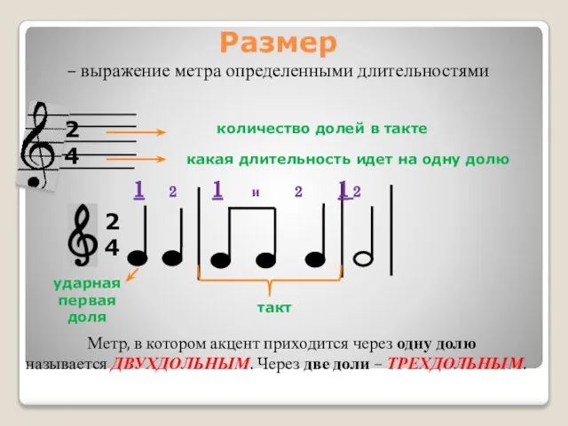 Размер – выражение метра определенными длительностями 2 4 какая длительность идет на