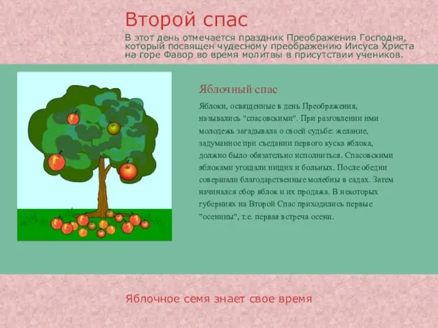 Яблочный спас Яблочное семя знает свое время Яблоки, освященные в день Преображения,