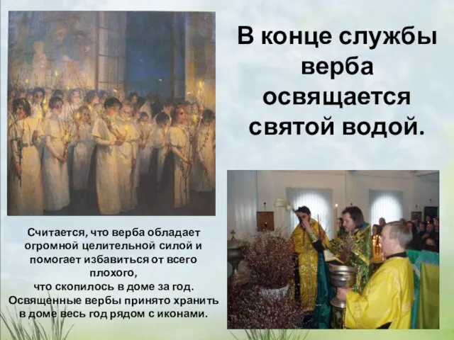 В конце службы верба освящается святой водой. Считается, что верба обладает огромной