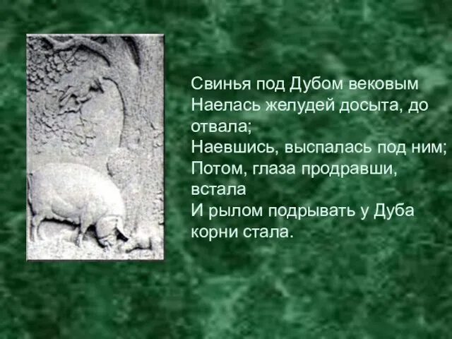 Свинья под Дубом вековым Наелась желудей досыта, до отвала; Наевшись, выспалась под