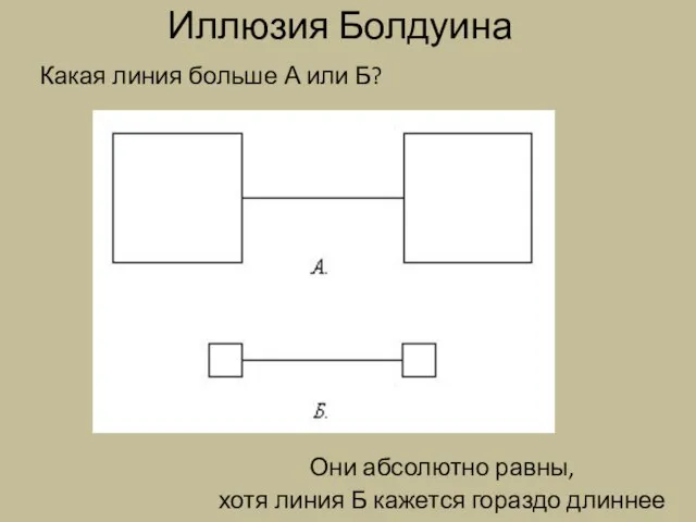 Иллюзия Болдуина Какая линия больше А или Б? Они абсолютно равны, хотя