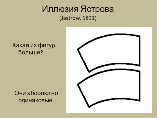 Иллюзия Ястрова (Jastrow, 1891) Какая из фигур больше? Они абсолютно одинаковые.