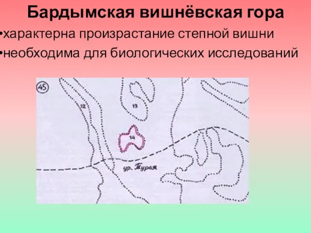 Бардымская вишнёвская гора характерна произрастание степной вишни необходима для биологических исследований