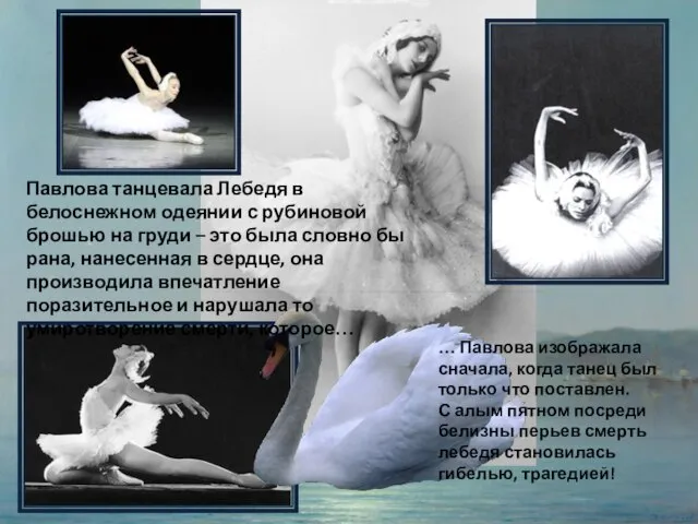 Павлова танцевала Лебедя в белоснежном одеянии с рубиновой брошью на груди –