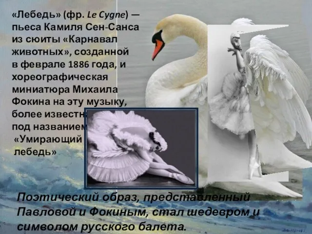 «Лебедь» (фр. Le Cygne) — пьеса Камиля Сен-Санса из сюиты «Карнавал животных»,