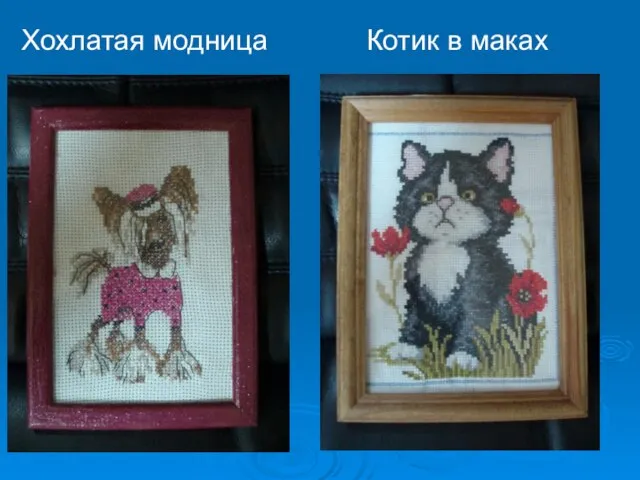 Котик в маках Хохлатая модница