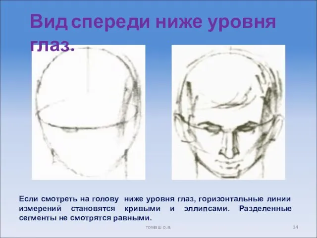 Вид спереди ниже уровня глаз. Если смотреть на голову ниже уровня глаз,