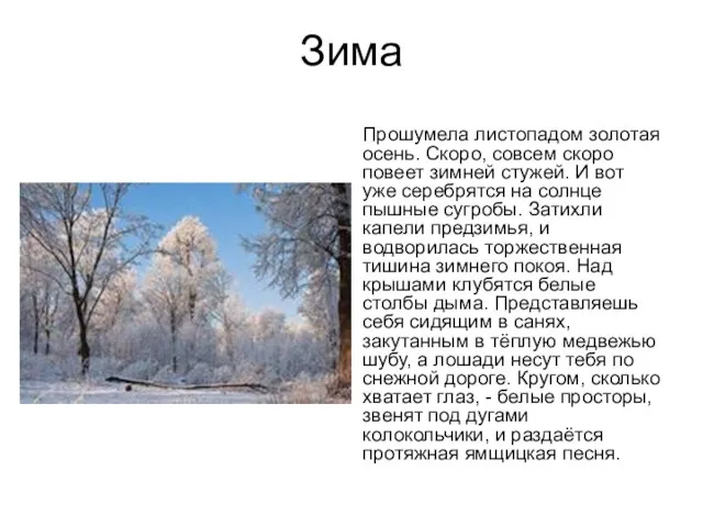 Зима Прошумела листопадом золотая осень. Скоро, совсем скоро повеет зимней стужей. И