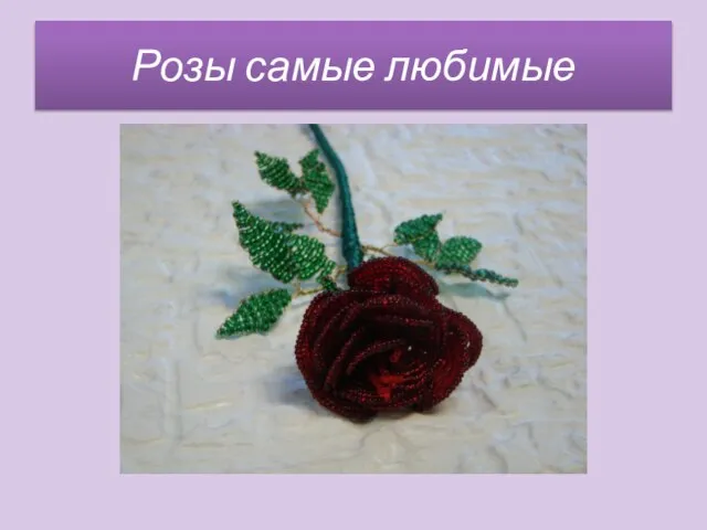 Розы самые любимые