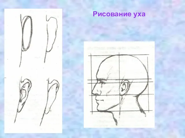 Рисование уха