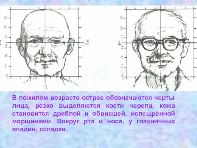 В пожилом возрасте острее обозначаются черты лица, резко выделяются кости черепа, кожа