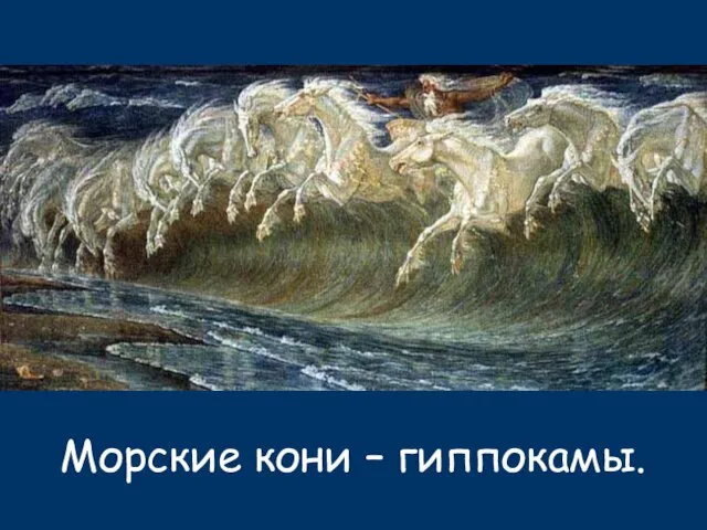 Морские кони – гиппокамы.