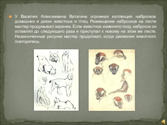 У Василия Алексеевича Ватагина огромная коллекция набросков домашних и диких животных и