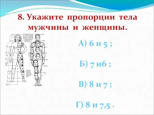8. Укажите пропорции тела мужчины и женщины. А) 6 и 5 ;