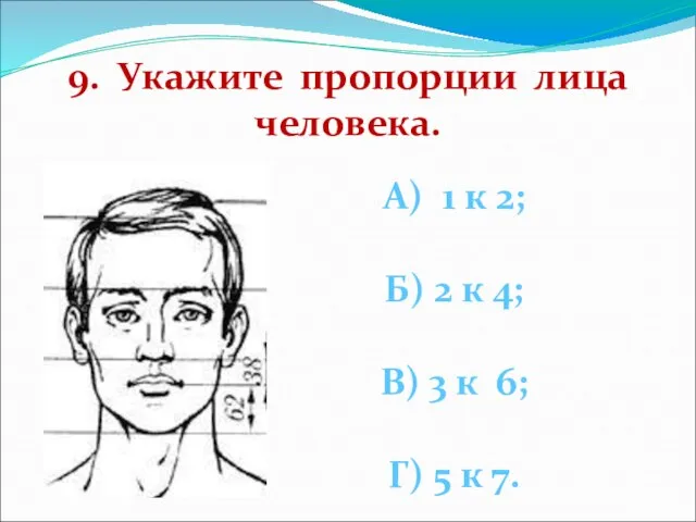 9. Укажите пропорции лица человека. А) 1 к 2; Б) 2 к