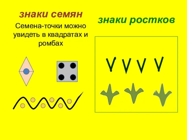 знаки семян Семена-точки можно увидеть в квадратах и ромбах знаки ростков