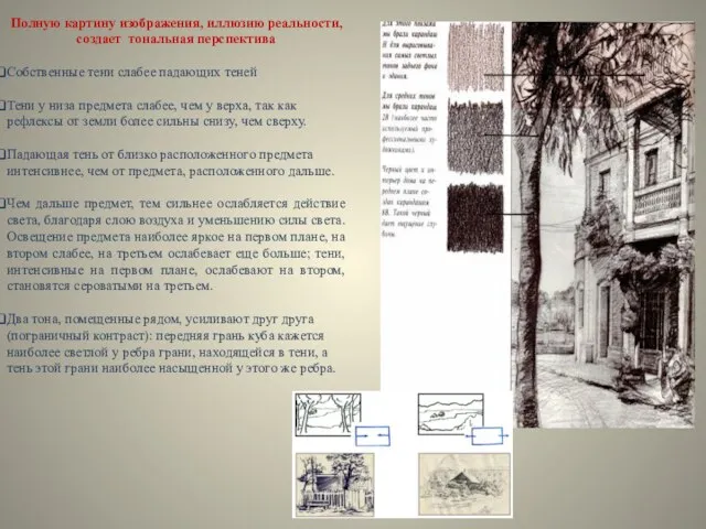 Полную картину изображения, иллюзию реальности, создает тональная перспектива Собственные тени слабее падающих