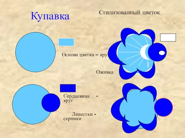 Купавка Стилизованный цветок Основа цветка – круг Оживка Сердцевина - круг Лепестки - серпики