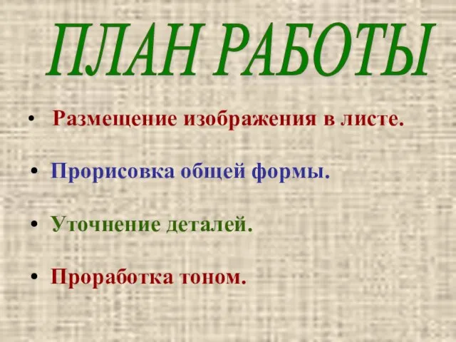 • Размещение изображения в листе. Прорисовка общей формы. Уточнение деталей. Проработка тоном. ПЛАН РАБОТЫ