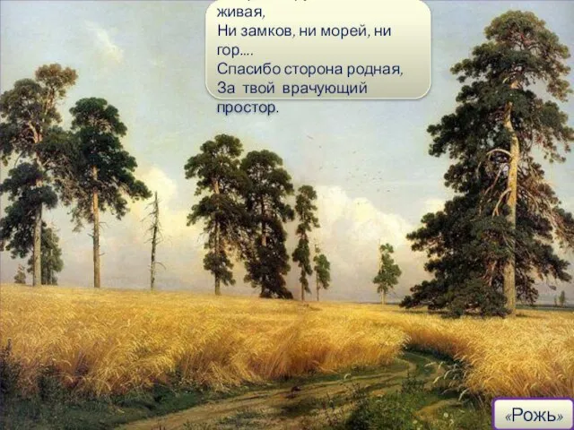 «Рожь» Всё рожь кругом, как степь живая, Ни замков, ни морей, ни