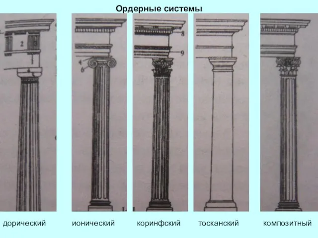 Ордерные системы дорический ионический коринфский тосканский композитный