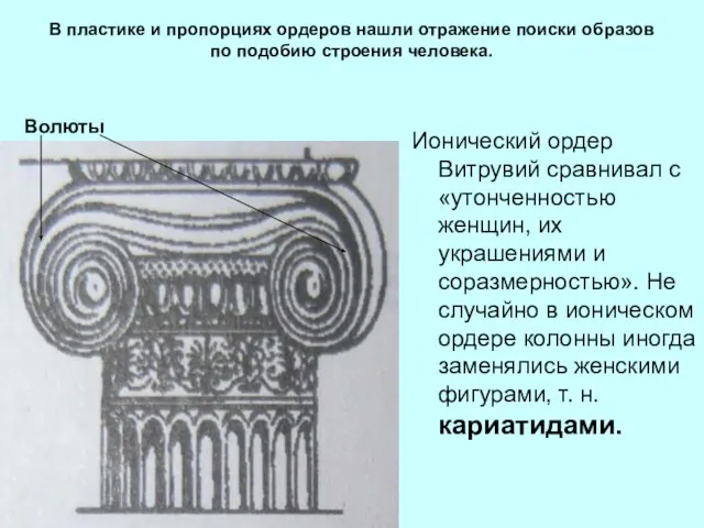 В пластике и пропорциях ордеров нашли отражение поиски образов по подобию строения