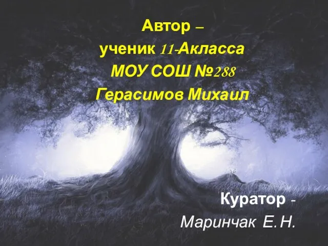 Автор – ученик 11-Акласса МОУ СОШ №288 Герасимов Михаил Куратор - Маринчак Е. Н.