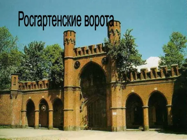 Росгартенские ворота