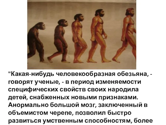 "Какая-нибудь человекообразная обезьяна, - говорят ученые, - в период изменяемости специфических свойств