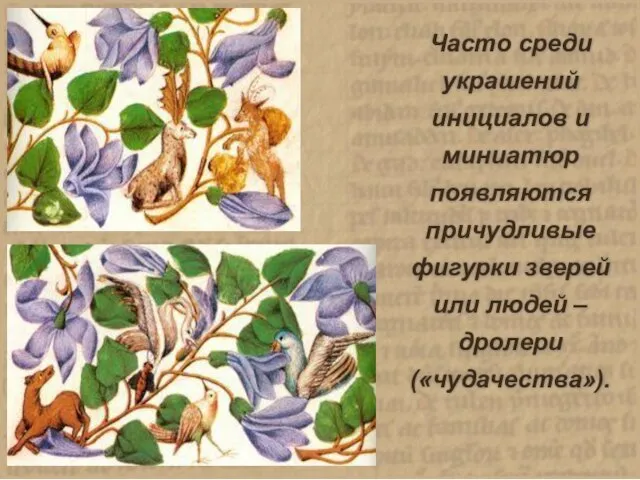 Часто среди украшений инициалов и миниатюр появляются причудливые фигурки зверей или людей – дролери («чудачества»).