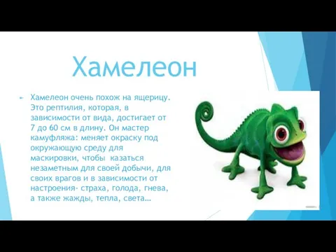 Хамелеон Хамелеон очень похож на ящерицу. Это рептилия, которая, в зависимости от