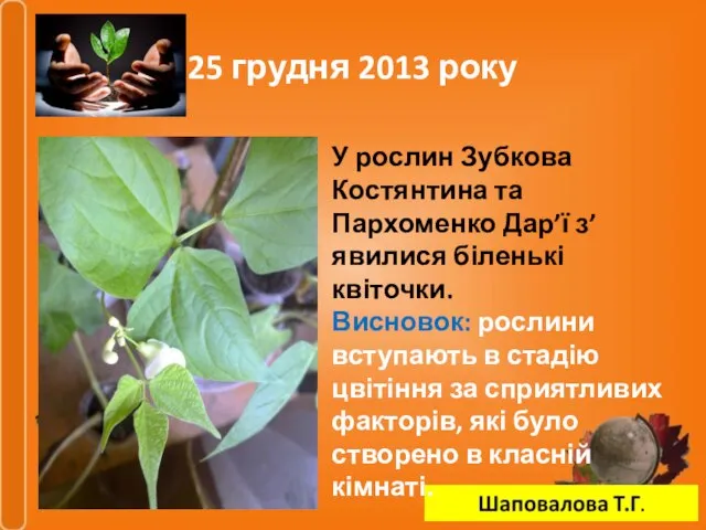 25 грудня 2013 року У рослин Зубкова Костянтина та Пархоменко Дар’ї з’явилися