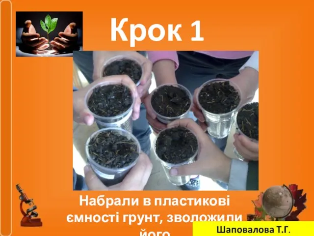 Крок 1 Набрали в пластикові ємності грунт, зволожили його