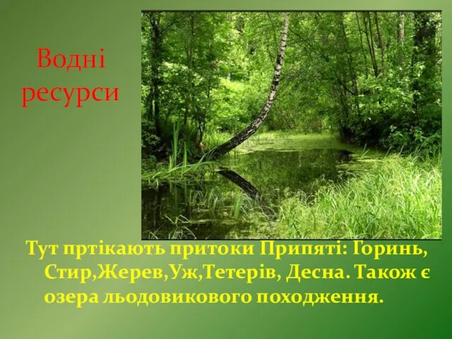 Водні ресурси Тут пртікають притоки Припяті: Горинь, Стир,Жерев,Уж,Тетерів, Десна. Також є озера льодовикового походження.