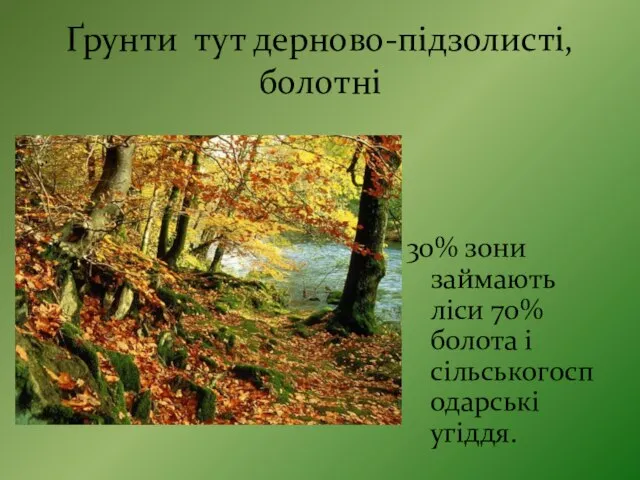 Ґрунти тут дерново-підзолисті, болотні 30% зони займають ліси 70% болота і сільськогосподарські угіддя.