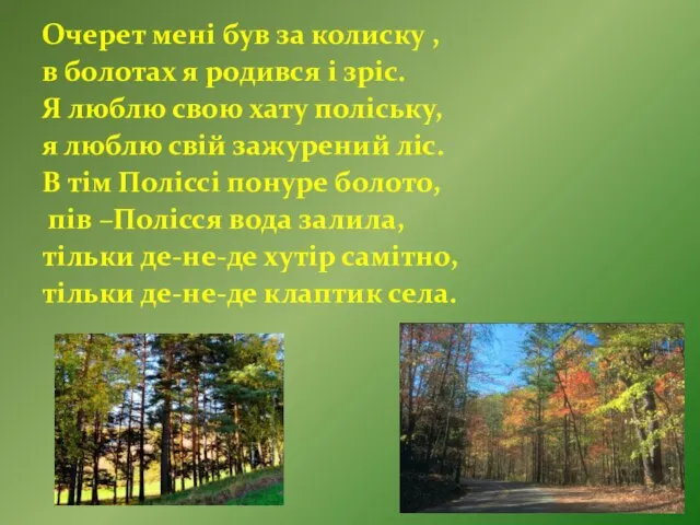 Очерет мені був за колиску , в болотах я родився і зріс.