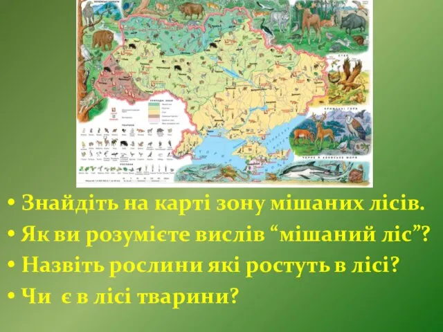 Знайдіть на карті зону мішаних лісів. Як ви розумієте вислів “мішаний ліс”?