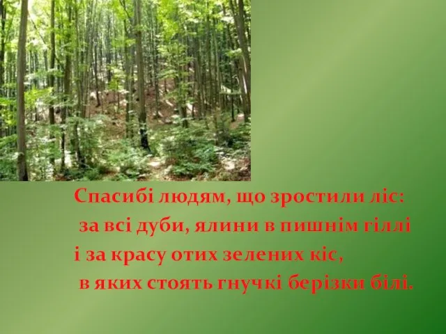 Спасибі людям, що зростили ліс: за всі дуби, ялини в пишнім гіллі