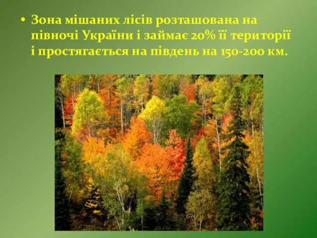 Зона мішаних лісів розташована на півночі України і займає 20% її території