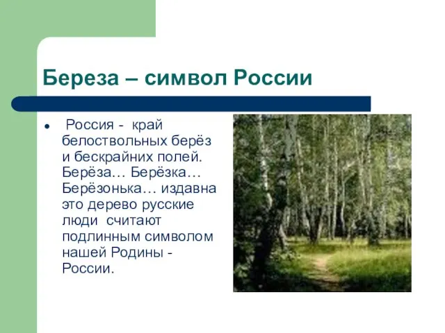 Береза – символ России Россия - край белоствольных берёз и бескрайних полей.