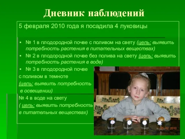 Дневник наблюдений 5 февраля 2010 года я посадила 4 луковицы № 1