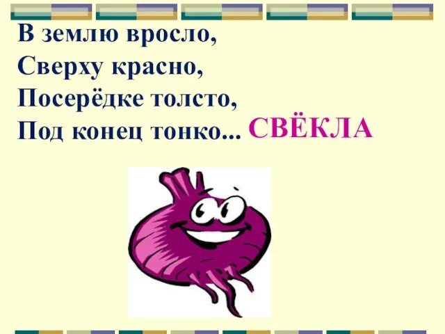 В землю вросло, Сверху красно, Посерёдке толсто, Под конец тонко... СВЁКЛА