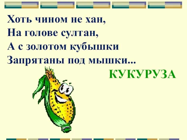 Хоть чином не хан, На голове султан, А с золотом кубышки Запрятаны под мышки... КУКУРУЗА