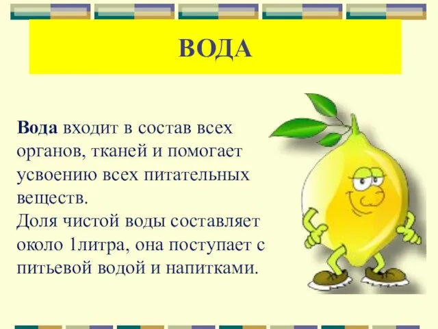 Вода входит в состав всех органов, тканей и помогает усвоению всех питательных